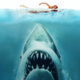 Illustration for article titled The Greatest Sharks In Video Games, Just In Time For Shark Week